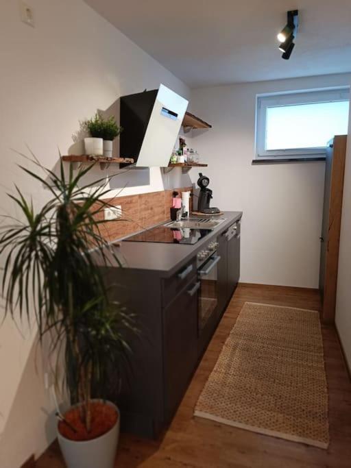 Altholzapartment In Kempten Waltenhofen Zewnętrze zdjęcie
